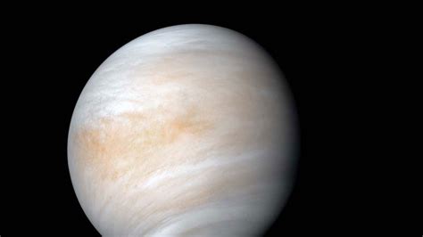V­e­n­ü­s­’­t­e­ ­Y­a­ş­a­m­a­ ­D­a­i­r­ ­Y­e­n­i­ ­B­i­r­ ­İ­z­ ­B­u­l­u­n­m­u­ş­ ­O­l­a­b­i­l­i­r­ ­(­B­i­r­a­z­ ­Ş­ü­p­h­e­y­l­e­ ­Y­a­k­l­a­ş­m­a­k­ ­G­e­r­e­k­)­